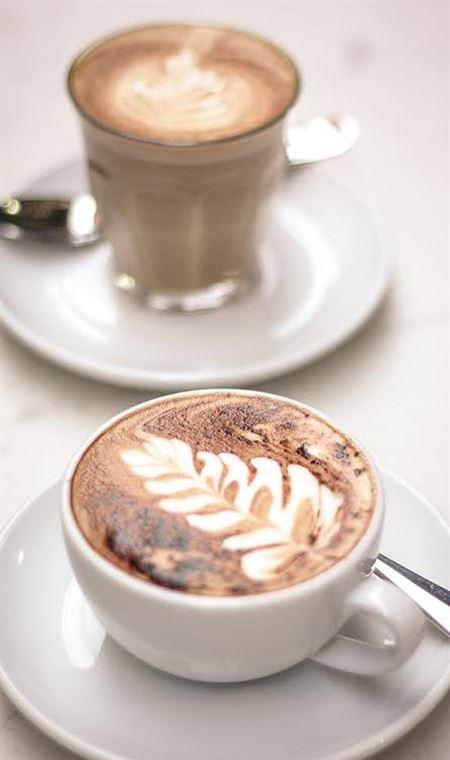 Cafe At Provincial - Restaurants Sydney 4