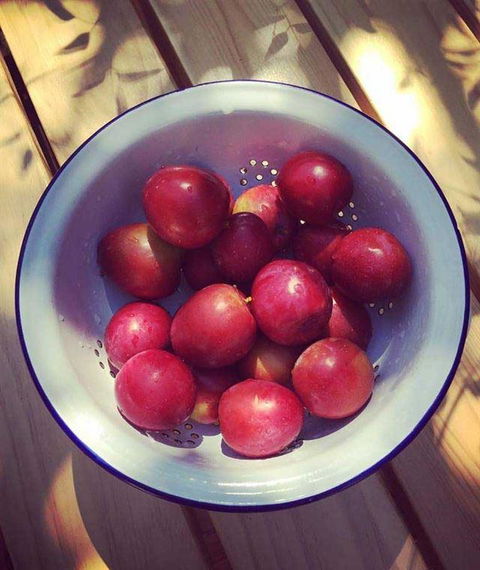 Pipi At Middleton - Restaurants Sydney 7