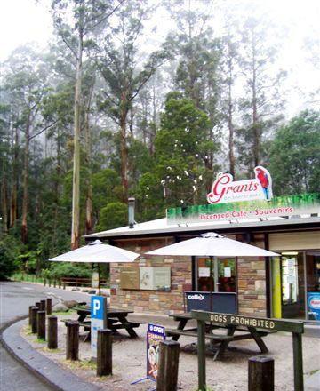Kangaroo Island Fresh Seafoods And Takeaway - Restaurants Sydney 5