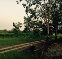 Brierley Wines - Restaurants Sydney