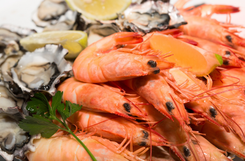 Spirit Of Cairns Dinner Cruises - Restaurants Sydney 1