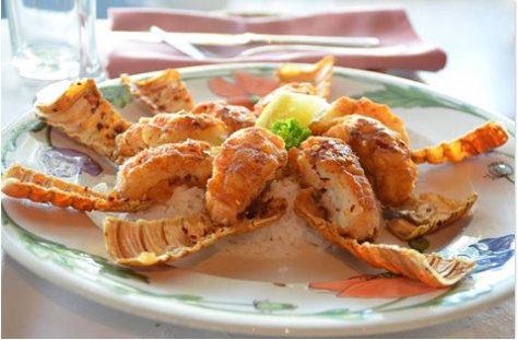 Tramontana At Evolution - Restaurants Sydney 2