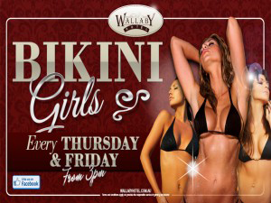 Wallaby Hotel - Restaurants Sydney 2