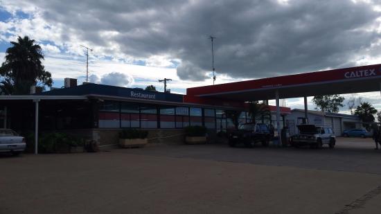 Dingo QLD Restaurants Sydney