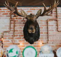 The Loose Moose Tap  Grill - Restaurants Sydney