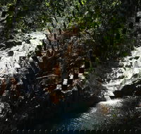 Pioneer Valley Diner - Restaurants Sydney