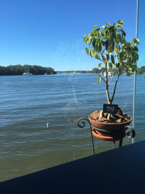 Pier 11 Restaurant  - Restaurants Sydney 6