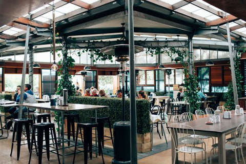 Osteria - Restaurants Sydney 0