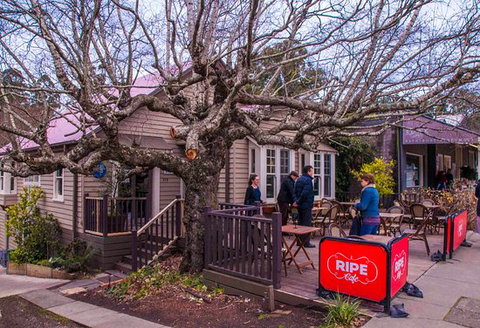 Ripe - Restaurants Sydney 0