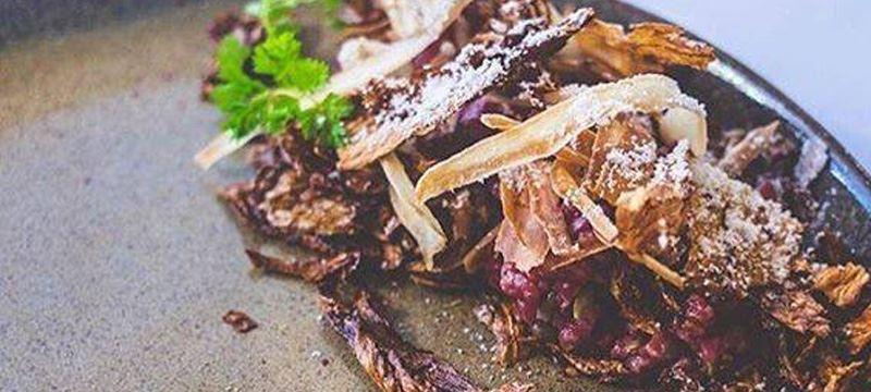 Sunshine Coast Hinterland QLD Restaurants Sydney