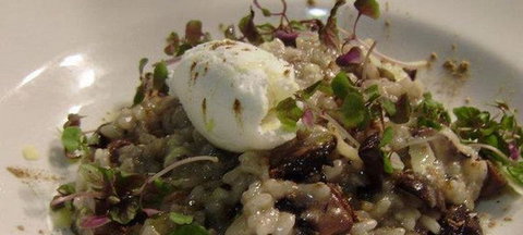 Il Grappolo - Restaurants Sydney 3