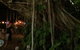 Big Fig Bistro - thumb 12
