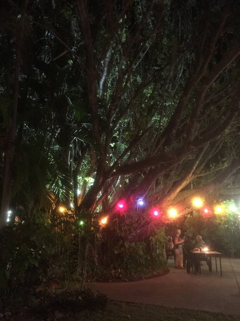 Big Fig Bistro - Restaurants Sydney 1