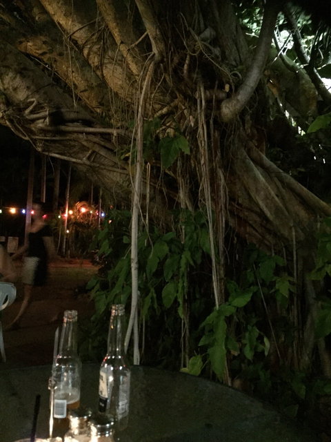 Big Fig Bistro - Restaurants Sydney 6