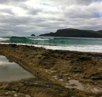 Bruny Island Berry Farm - Restaurants Sydney