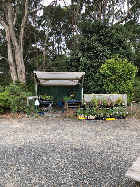 Cafe Brewer - Restaurants Sydney 8