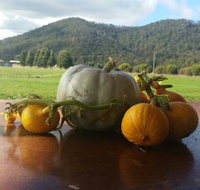 Mount Gnomon Farm - Restaurants Sydney