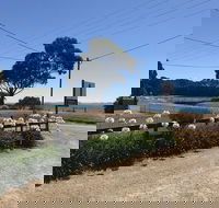 Penguin  Pardalote Coffee House - Restaurants Sydney