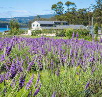 Port Arthur Lavender - Restaurants Sydney