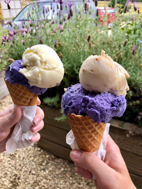 Port Arthur Lavender - Restaurants Sydney 2