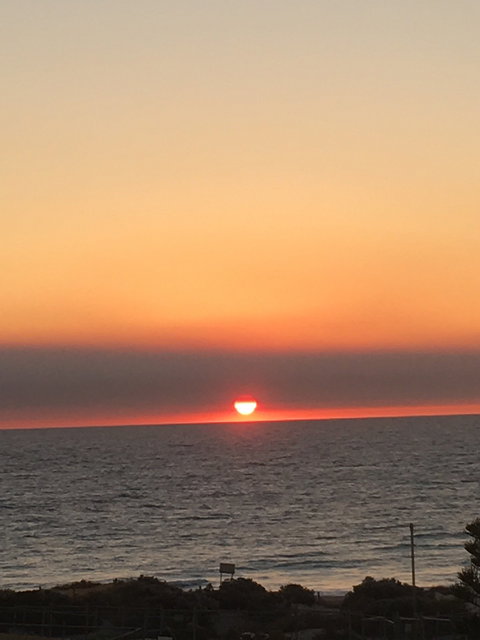 Thai Palace Restaurant - Restaurants Sydney 10