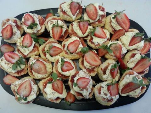 Plum Cafe At The Park - Restaurants Sydney 0