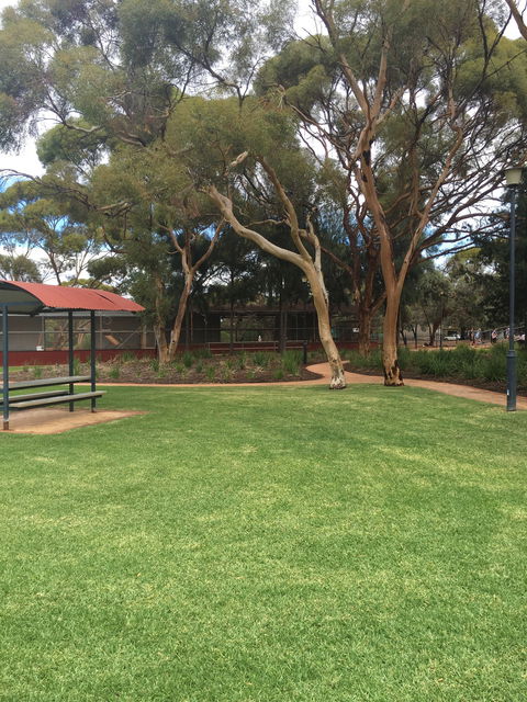 Plum Cafe At The Park - Restaurants Sydney 1