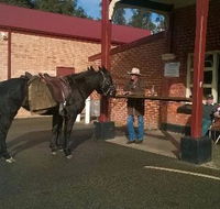 Premier Hotel - Restaurants Sydney