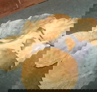 The Taj Restaurant - Restaurants Sydney