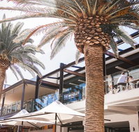 The Moseley Bar  Kitchen - Restaurants Sydney