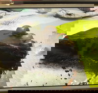 Baker Bear's Bakery - Restaurants Sydney