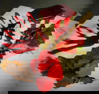 Clare Castle Hotel Restaurant - Restaurants Sydney