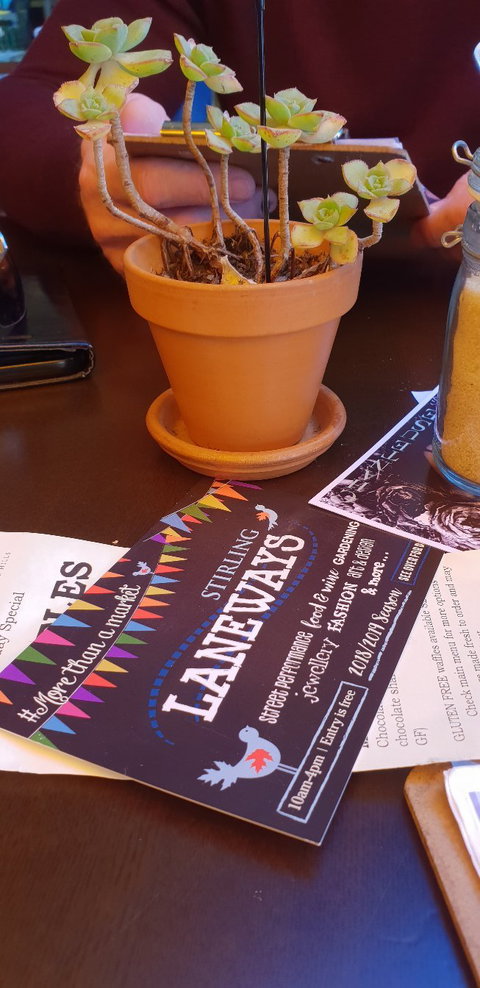 Red Cacao Chocolatier - Restaurants Sydney 4