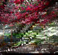 The Bridgewater Inn - Restaurants Sydney