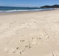 Mr Bengel - Restaurants Sydney