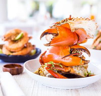 Noosa Beach House Peter Kuruvita - Restaurants Sydney