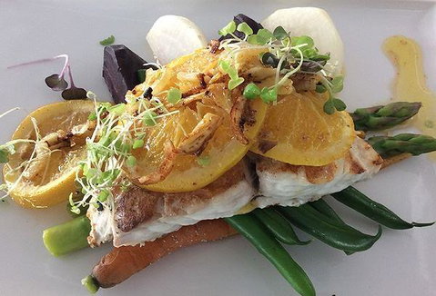 The Organik Store & Cafe - Restaurants Sydney 1