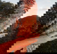 Cafe Anywhere - Restaurants Sydney