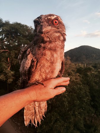 Cafe Anywhere - Restaurants Sydney 0