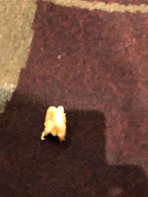 Caloundra RSL - Restaurants Sydney 5