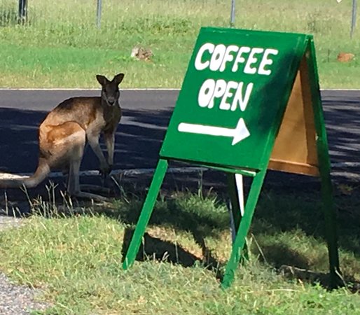 Tropical North Queensland QLD Restaurants Sydney