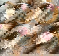 Doomadgee Bakery - Restaurants Sydney