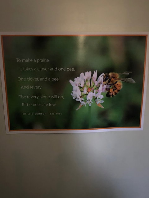 Kandanga Kitchen - Restaurants Sydney 1