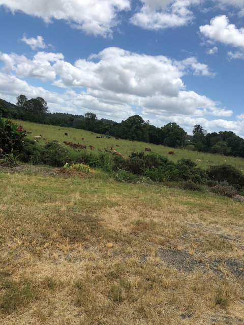 Kandanga Kitchen - Restaurants Sydney 6