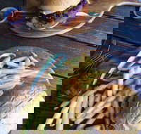 O'Reilly's Rainforest Retreat Dining Room - Restaurants Sydney