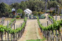 Moffatdale Takeaway and Moffatdale Restaurants Sydney Restaurants Sydney