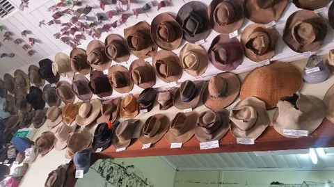 Wellshot Hotel - Restaurants Sydney 0