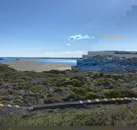 Penguin Island And Fremantle - Canoe Chocolate  Coffee - Restaurants Sydney