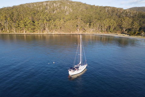 Twilight Sail Bruny Island - Restaurants Sydney 3