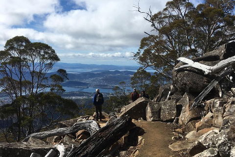 Kunanyi / Mt Wellington Explorer Bus - 2 Hour Return Tour - Restaurants Sydney 0